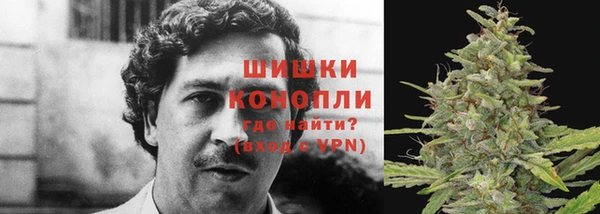 винт Гусь-Хрустальный